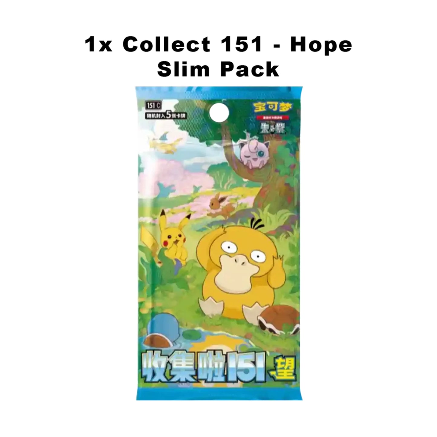 151C Journey Gift Box